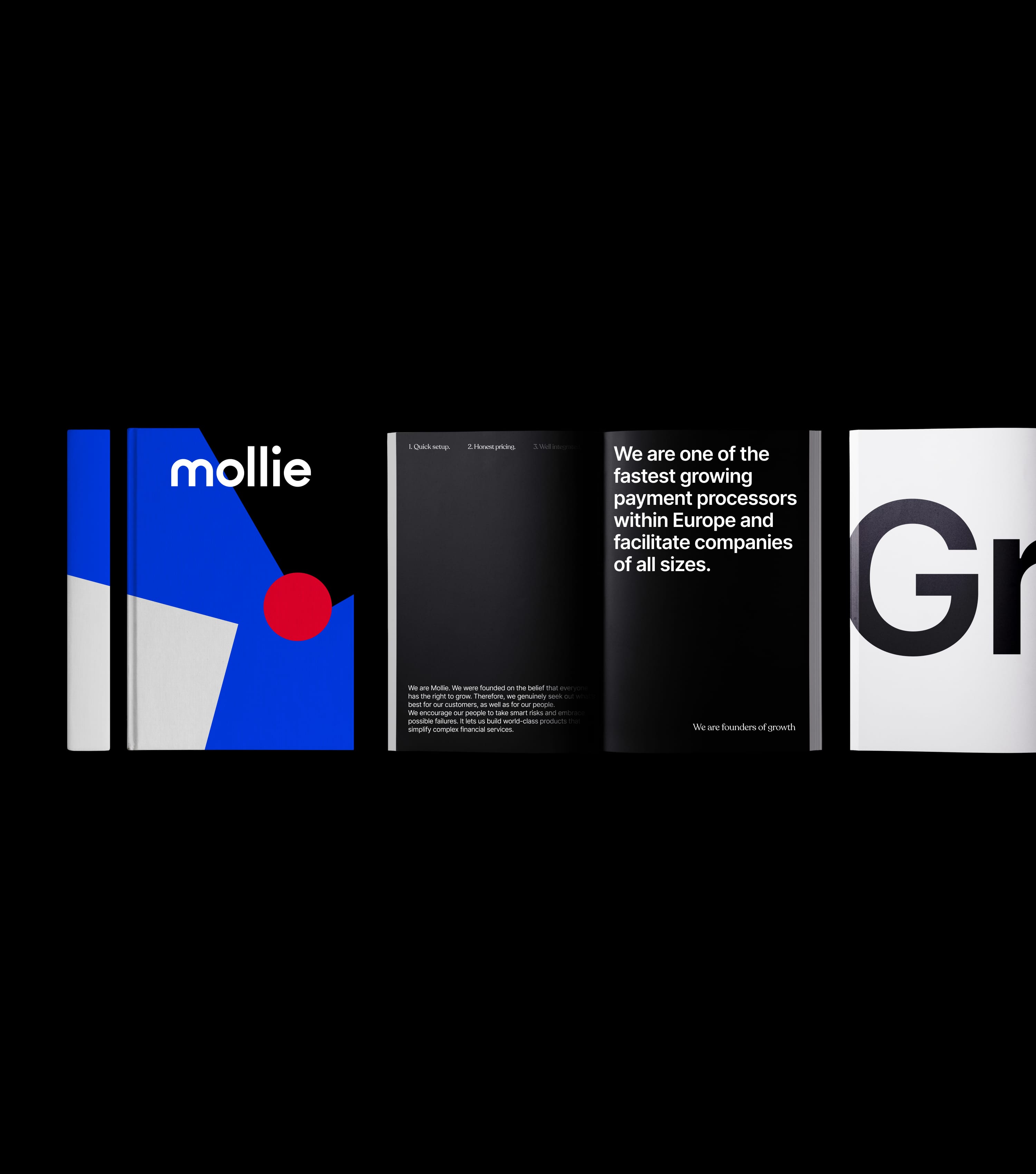 mollie_desktop_editorial