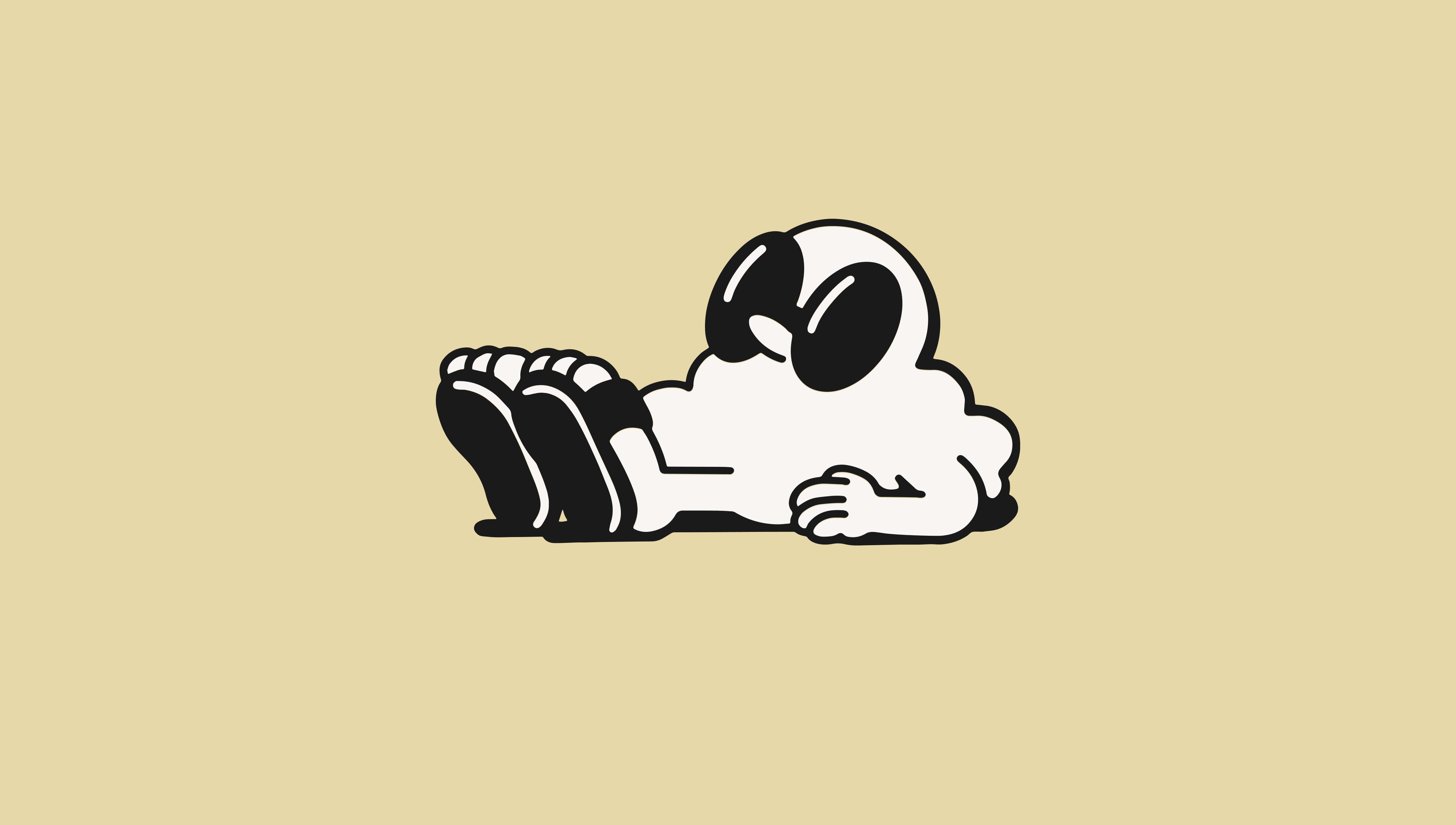 Fly Chilling