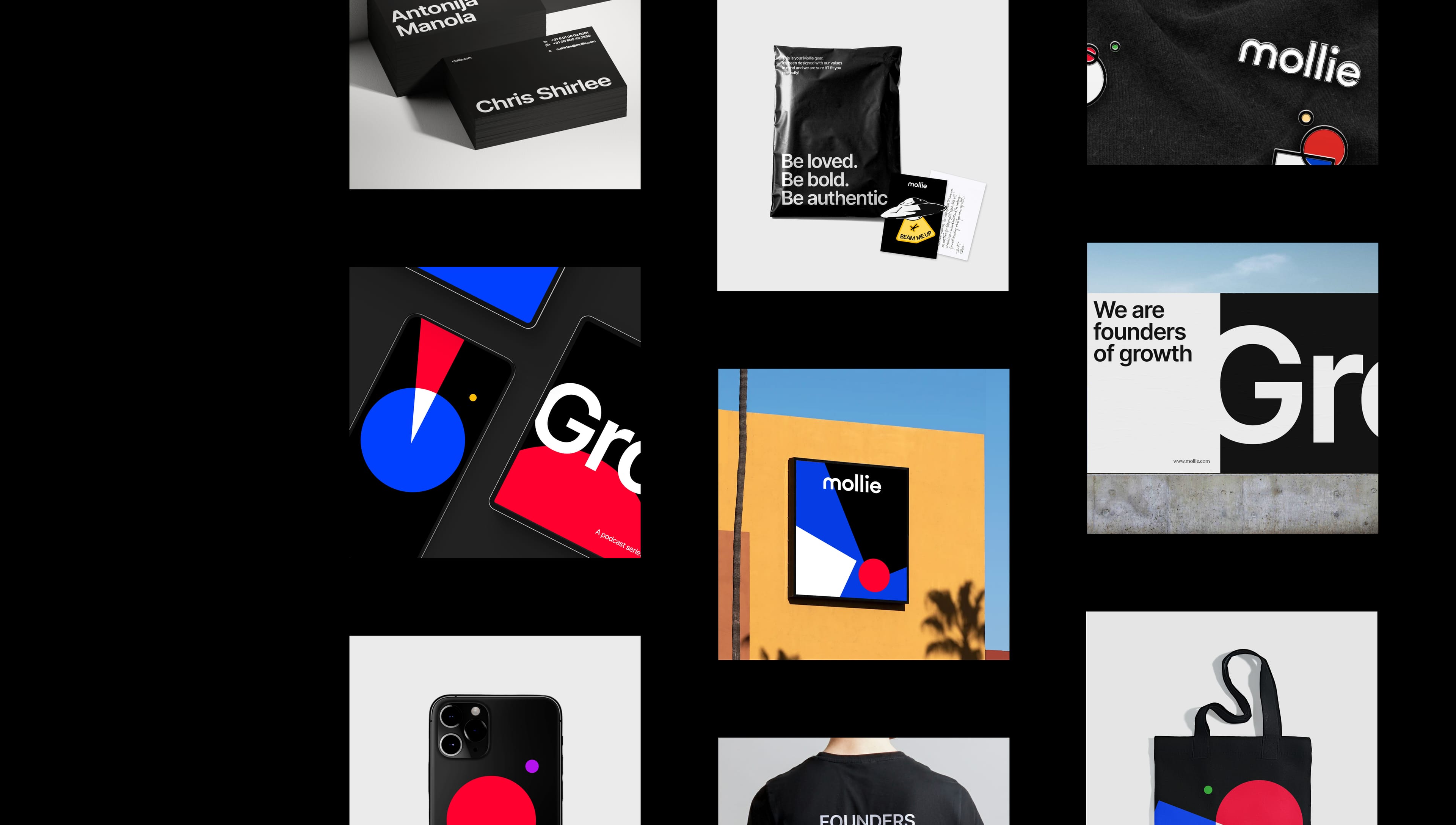 mollie_desktop_overview