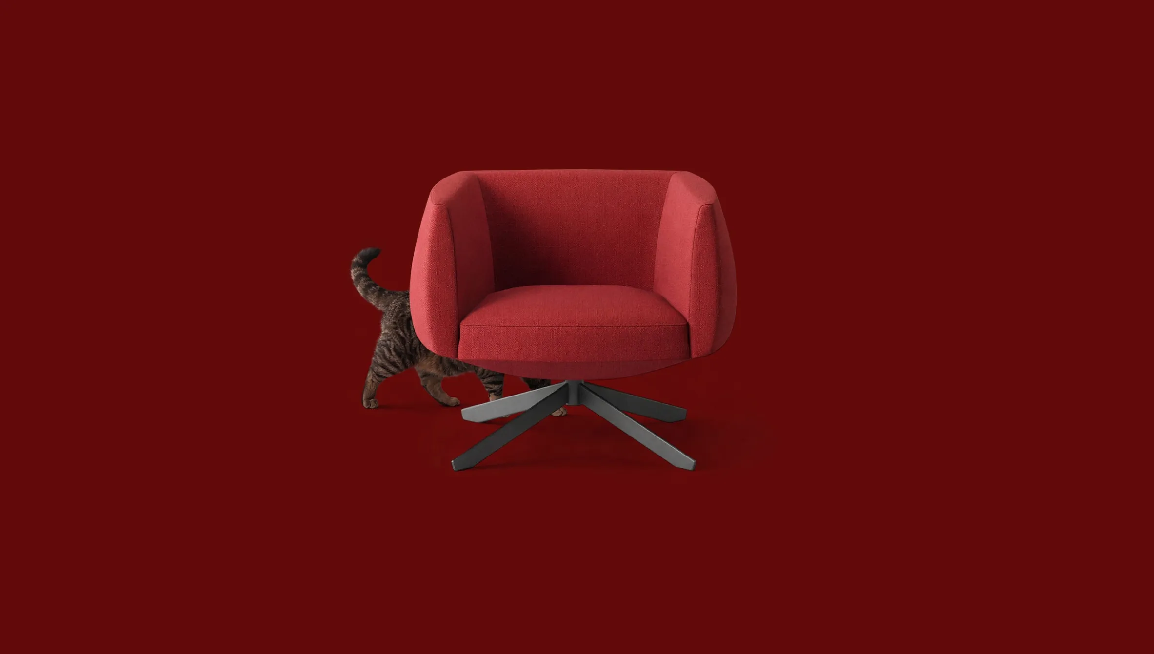 A red modern armchair with a metal base on a red background, with a tabby cat partially hidden behind the chair.
