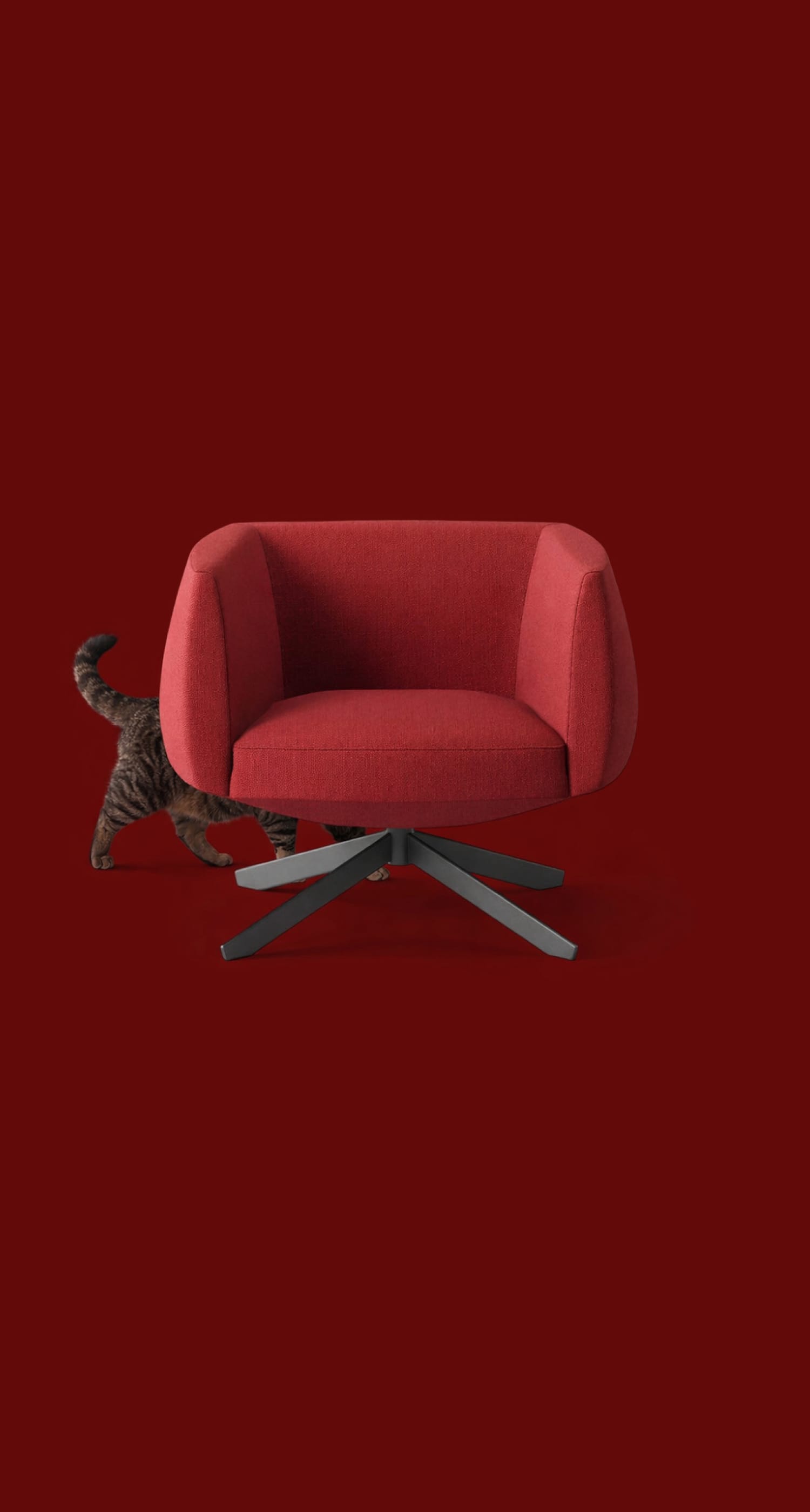 A red armchair on a matching red background with a cat partially visible, walking behind it, with its tail and back legs showing.
